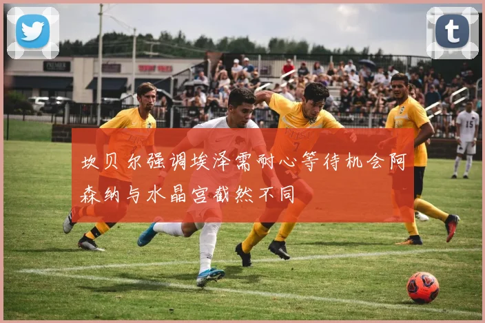坎贝尔强调埃泽需耐心等待机会阿森纳与水晶宫截然不同