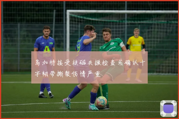 乌加特接受核磁共振检查或确认十字韧带撕裂伤情严重