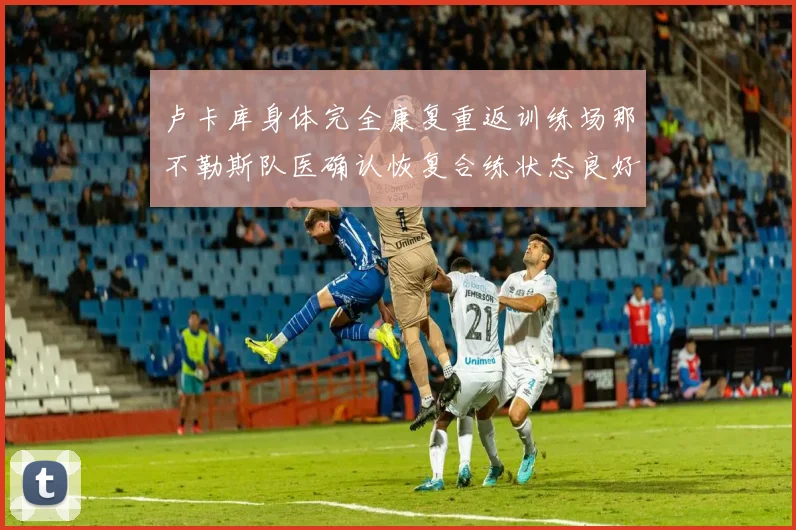 卢卡库身体完全康复重返训练场那不勒斯队医确认恢复合练状态良好